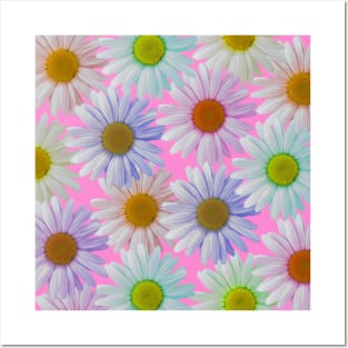 colorful daisy flowers, daisies, blossoms Posters and Art